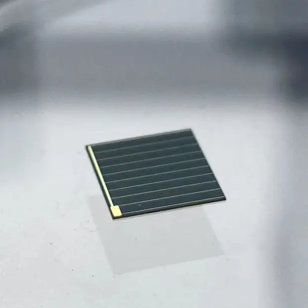 Micro solar cells and wildlife tracking